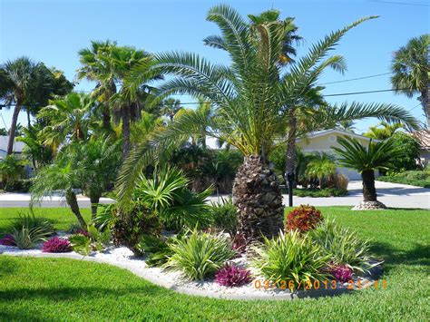 Types Of Garden Palms: Tips And 40+ Inspiring Ideas!